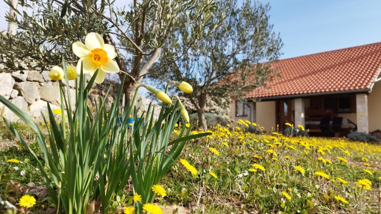 Holiday house Green Dream Obrovac Buitenkant foto